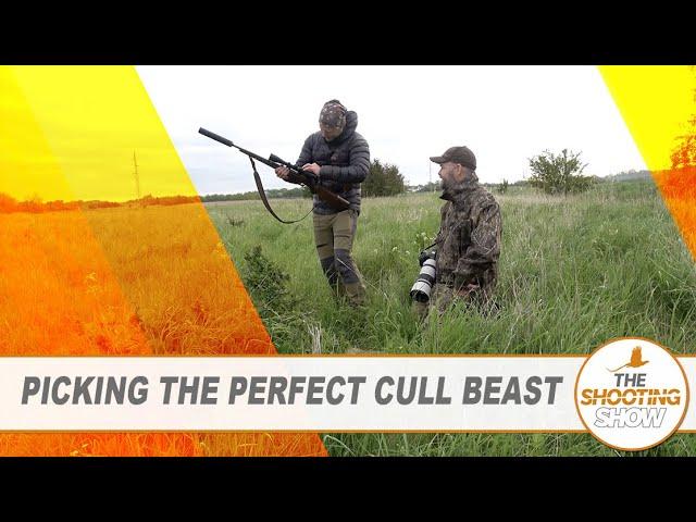 The Shooting Show - Stalking stags in New Zealand, fox control and rabbiting
