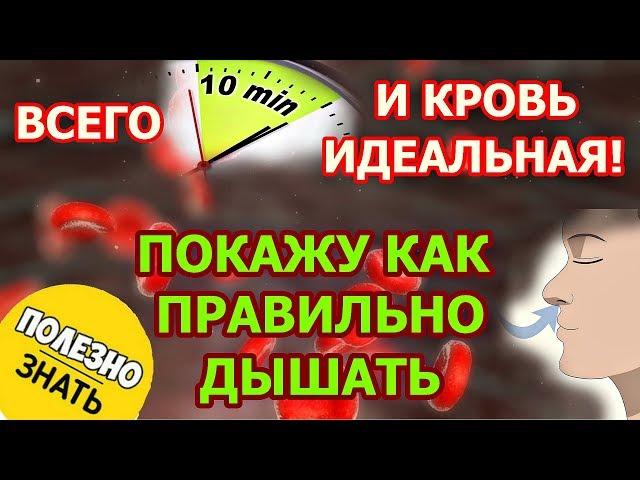 Всего 10 минут и кровь идеальная. Методика дыхания