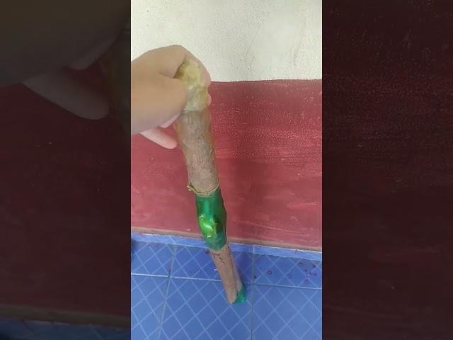 tecnologiya bat (⁠+⁠_⁠+⁠) ️