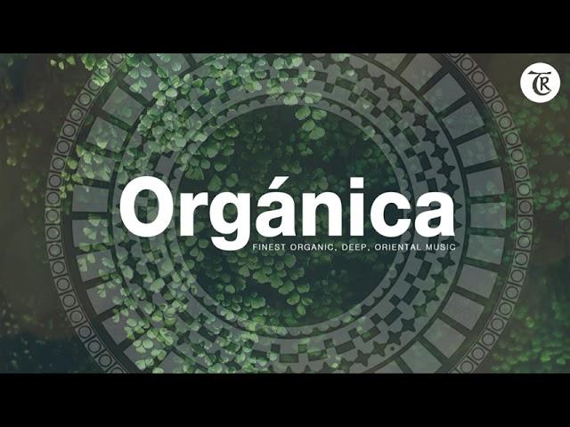 ORGANICA MIX l Finest Organic & Ethno Deep House Music | Dj mix by Marga Sol