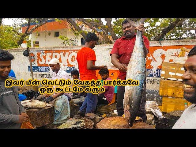 வஞ்சரம் மீன் | 20 KG | PER KG 800 VANJARAM FISH | KASIMEDU SELVAM |