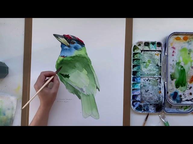 Painting Bird With Watercolor