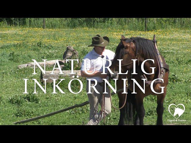 Naturlig Inkörning Merlin teaser