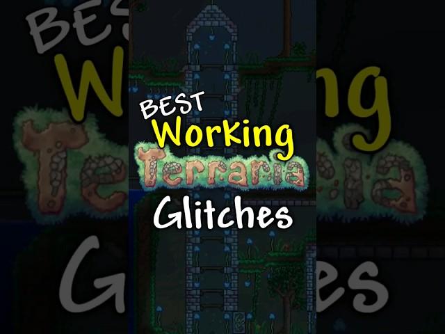 The BEST working Terraria glitches (1.4.4.9)