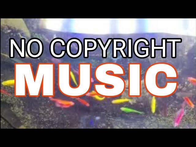 No copyright music || #music #nocopyrightmusic @Nocopiright