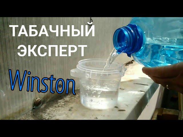 18+ САША КОЛБАСА. ТАБАЧНЫЙ ЭКСПЕРТ. Winston 