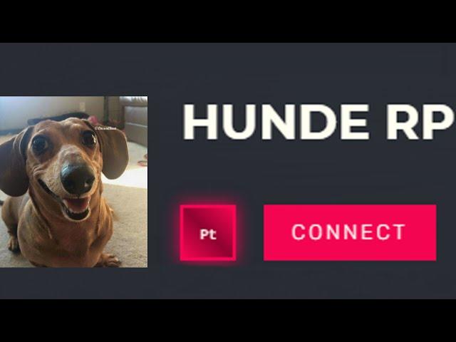 ES GIBT HUNDE IM RP?!?!?! ️