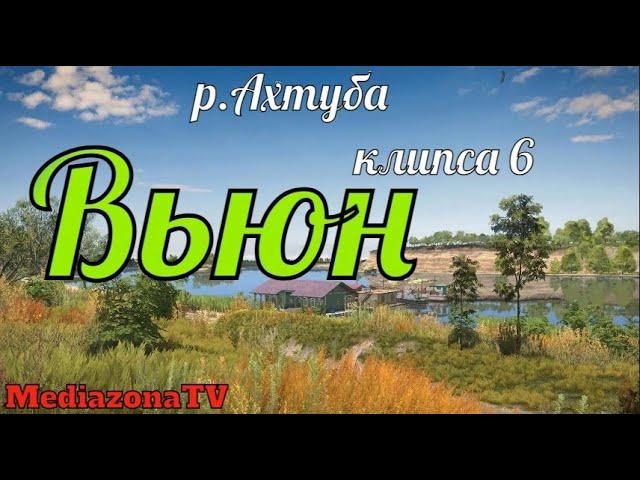 Русская Рыбалка 4 р Ахтуба Вьюн + прилов 31 05 23