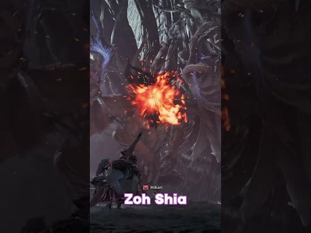 Best way to get Zoh Shia Investigation consistently. #monsterhunterwilds #mhws #mhwilds