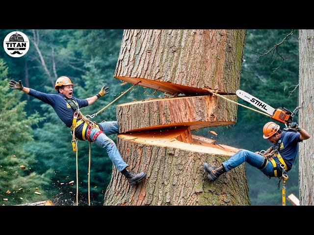 Dangerous Fastest Idiots Cutting Tree Fails Skill With Chainsaw | Tree Falling on Houses #12