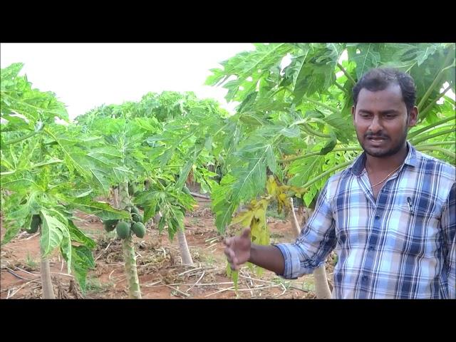 Farmer Experience with ABF Biotech-KISAN Hub