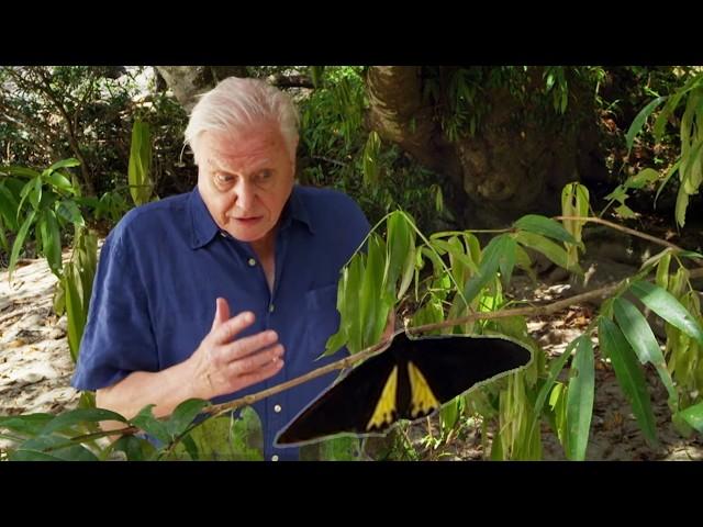 Life on Earth’s Wildest Frontiers with David Attenborough (4K Documentary)
