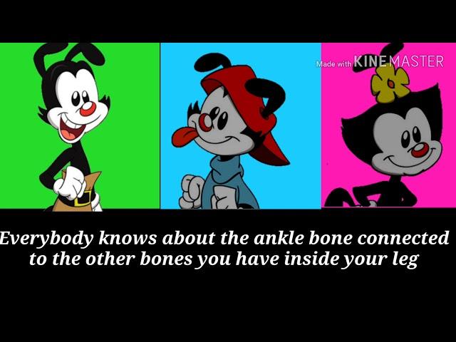 Animaniacs bones in the body with lyrics