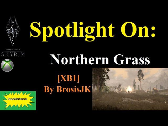 Skyrim (mods) - Spotlight On: Northern Grass [XB1] | By BrosisJK