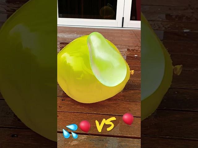 Water Balloon VS Big Balloon Filled With Water