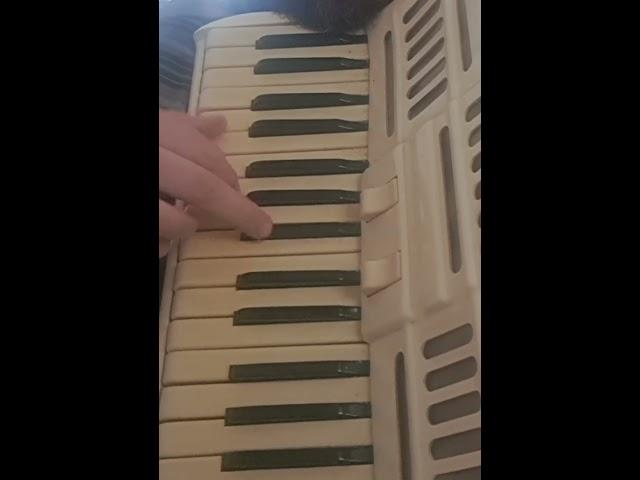 Salut JOE DASSIN cover accordion