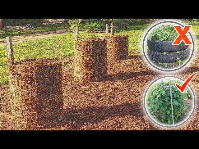 Growing Potatoes in Towers - Small Space Potato Planters