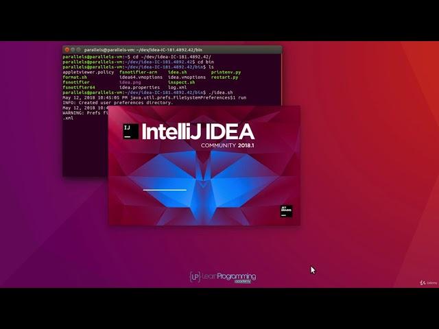 9  Install and Configure Intellij on Linux