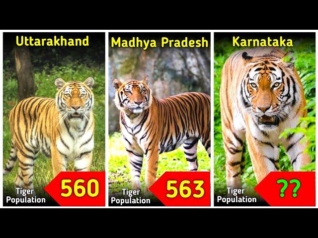 Tiger population in India by State 2023 | #Dataroid