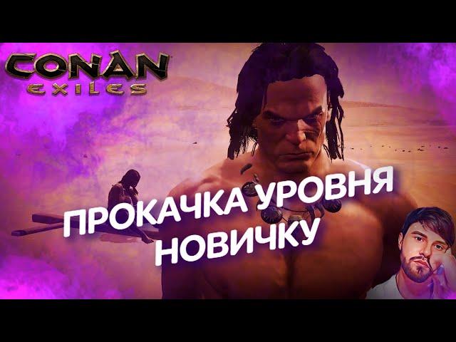 CONAN EXILES. КАК ПРОКАЧАТЬ УРОВЕНЬ НОВИЧКУ?