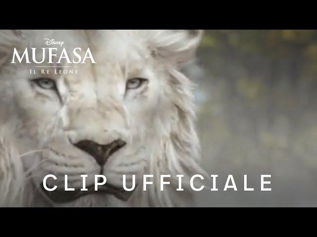 Mufasa: Il Re Leone | Clip Ufficiale | Dal 19 Dicembre al cinema