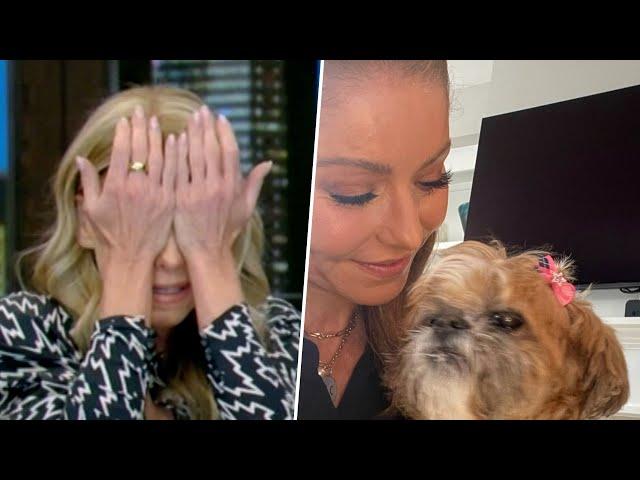 Kelly Ripa Breaks Down On Live TV w/ Mark Consuelos Over Beloved Dog’s Death