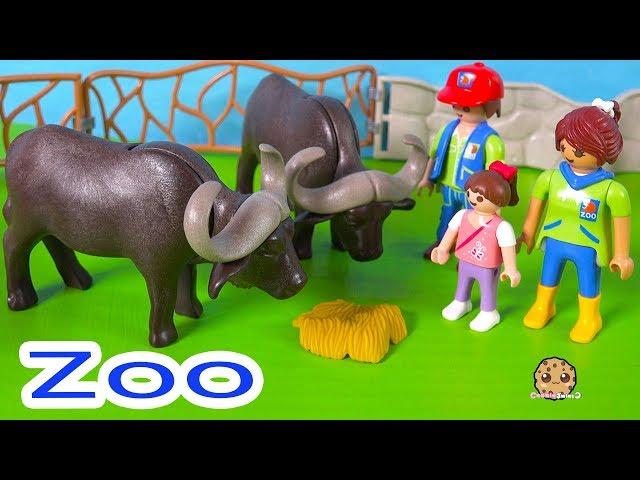 Valentines Day At the Zoo ! Animal Help  Video