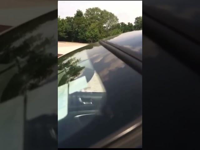 Itsy Bitsy Spider flexin windshield #sundownaudio #sa12 #ctsounds