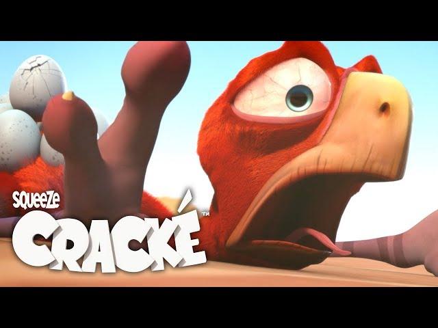 CRACKÉ - DRY ED | Cartoon for kids | by Squeeze