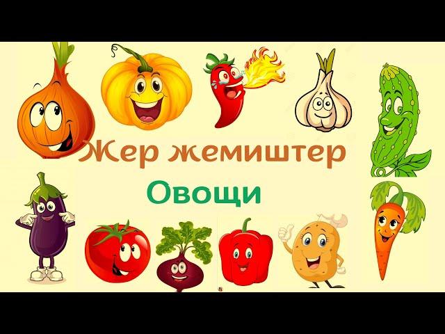 Жер жемиштер - фрукты кыргыз-орус тилинде #обучающие#фрукты#пайдалуу мультиктер