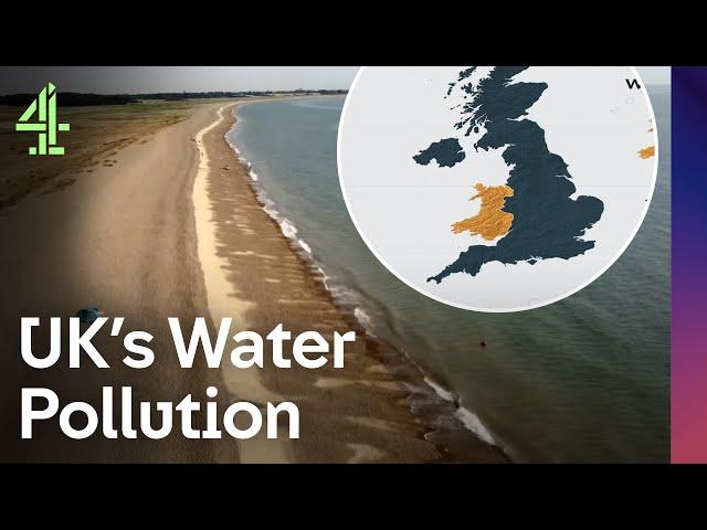 Britain's Water Pollution Crisis | Britain's Water Scandal | Dispatches | Channel 4