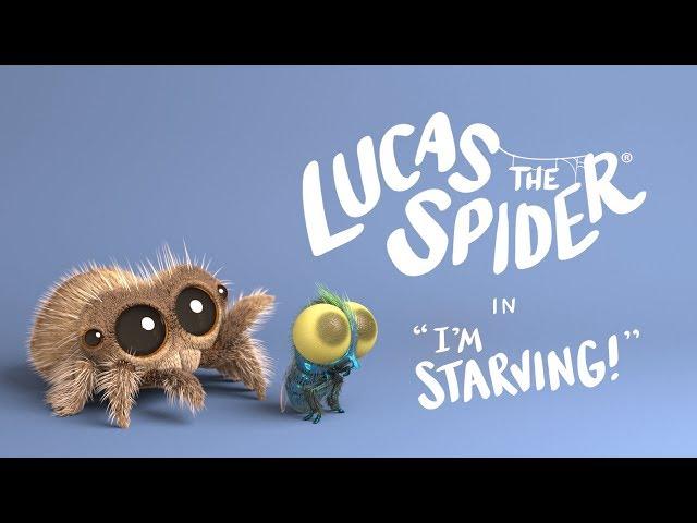 Lucas the Spider - I'm Starving - Short