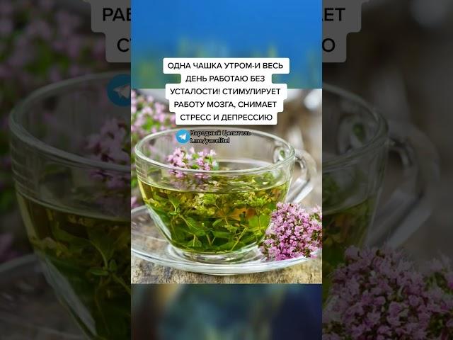 одна чашка утром и весь день работаю без усталости #медицина #зож #здоровье #народнаямедицина