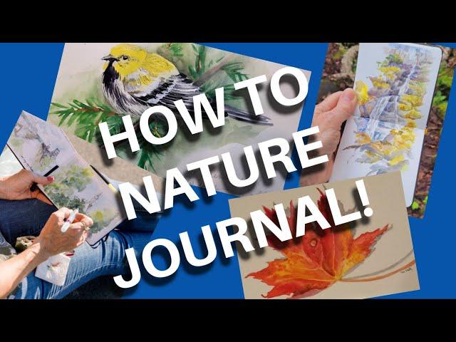 Nature Journaling with John Muir Laws