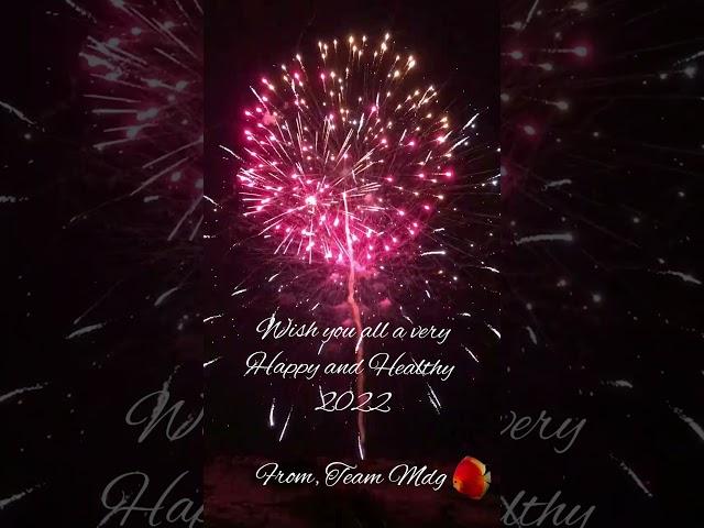 Wish you all a very Happy and Healthy 2022  #Team Mdg#shorts