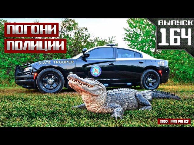 Погони полиции: Florida Highway Patrol [Выпуск 164 2024]