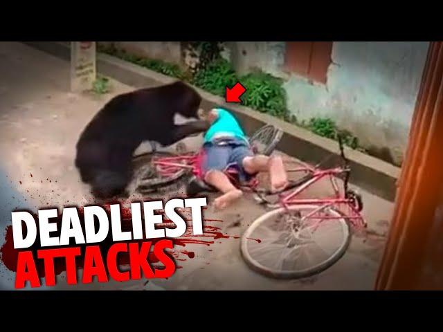 The DEADLIEST Bear Attacks MARATHON!