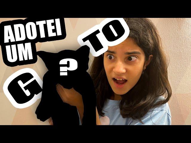 ADOTEI UM GATO? Universo da Yasmin Verissimo - vlog