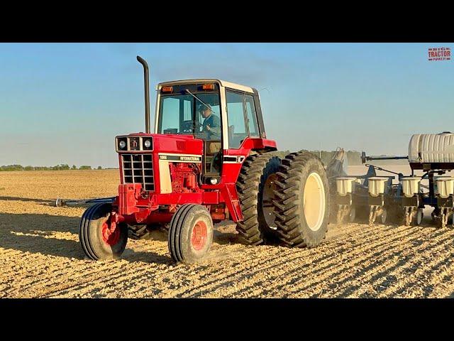 INTERNATIONAL 1086 Tractor Planting Corn