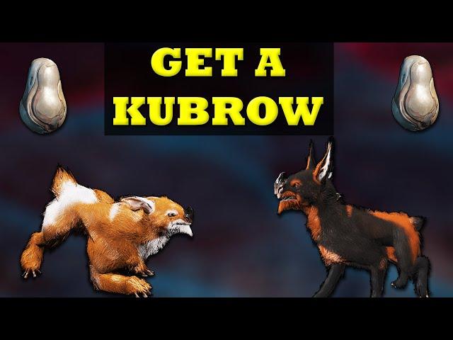 Warframe | How To Get A Kubrow | Warframe Beginners Guide