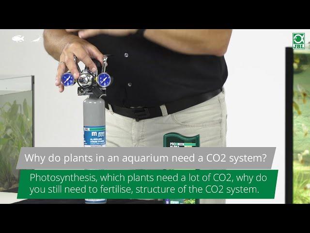 JBL TV #1: Why do plants need a CO2 system in the aquarium?