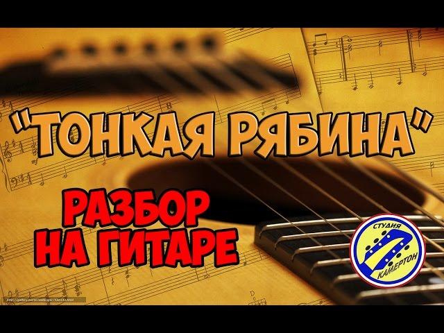 ТОНКАЯ РЯБИНА. Разбор на гитаре. Аранжировка.