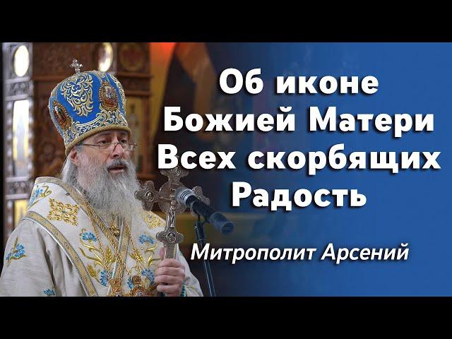 Слово митр. Арсения в день праздника иконы «Всех скорбящих Радость» 6.11.22 г.