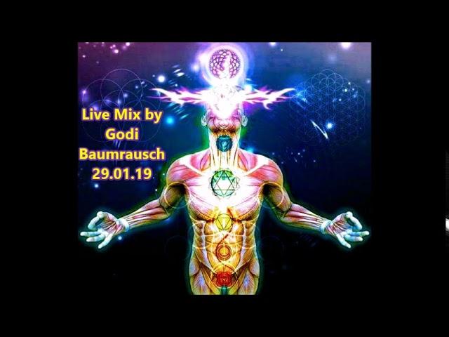 Live Mix by Godi Baumrausch  29 01 19