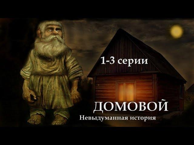 "ДОМОВОЙ" - Невыдуманная история. 1 - 3 серии. (Цикл ведьма Надежда 2 часть). МИСТИКА.