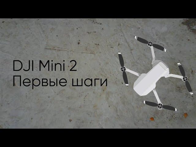 Учусь снимать и монтировать с дрона. DJI Mini 2. День 2.