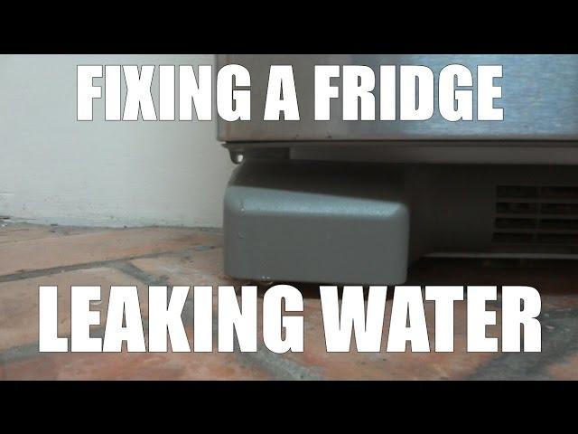 Fixing a fridge leaking water by changing a duck grommet tube drain for a P trap.