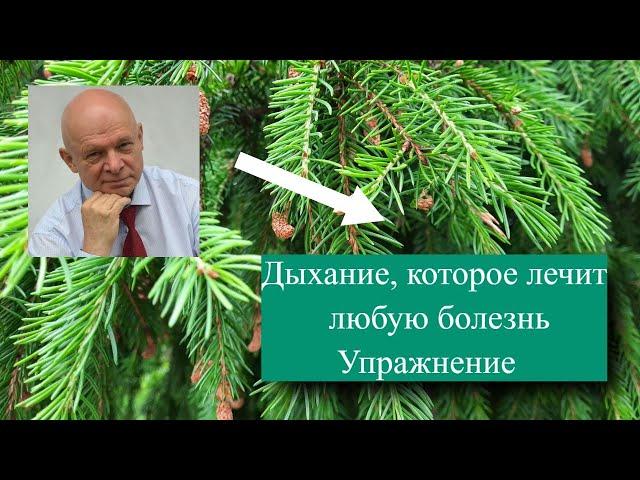 Дыхание, которое лечит любую болезнь. Упражнение.