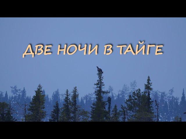 ДВЕ НОЧИ В ТАЙГЕ. ПРОБИВАЮСЬ НА ОЗЕРО. РЫБАЛКА.