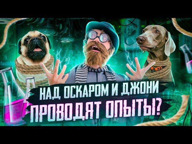 НАД ОСКАРОМ И ДЖОНИ ПРОВОДЯТ ОПЫТЫ?